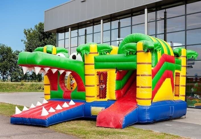 structure crocodile